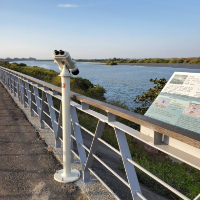 202994.jpg黑面琵鷺賞鳥步道